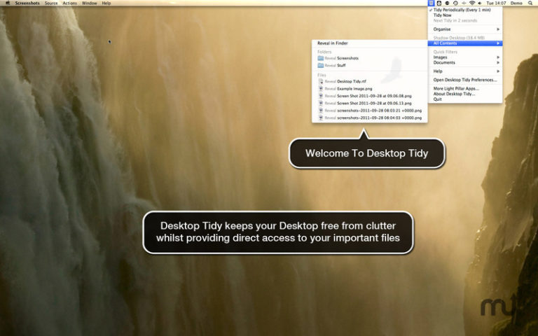 Desktop Tidy 2.1 de Light Pillar Software Ltd