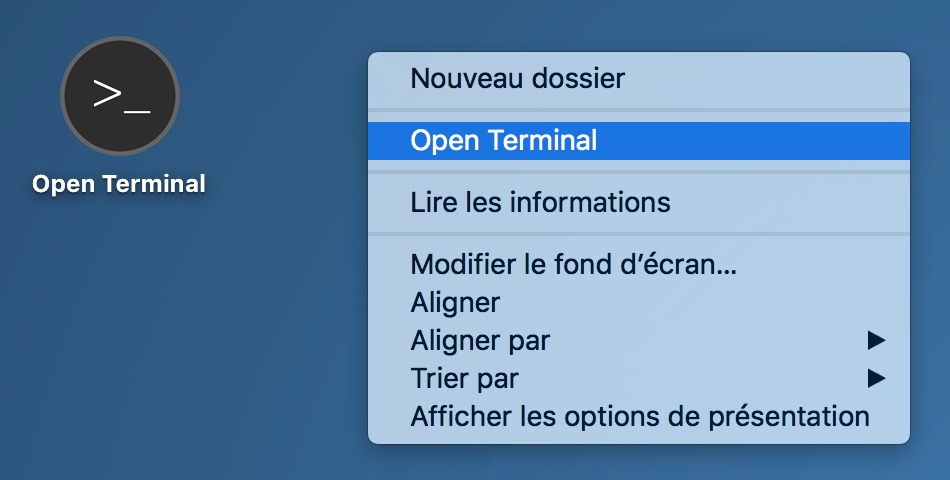 Open Terminal 1.2 de Quentin PARIS