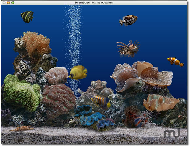 Marine Aquarium 3.3 de Order N Development